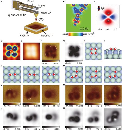 Frontiers Advances In Atomic Force Microscopy Weakly Perturbative