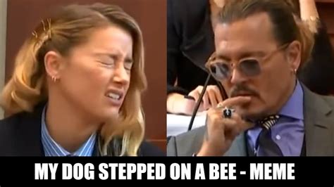 My Dog Stepped On A Bee Johnny Depp And Amber Heard Meme Youtube