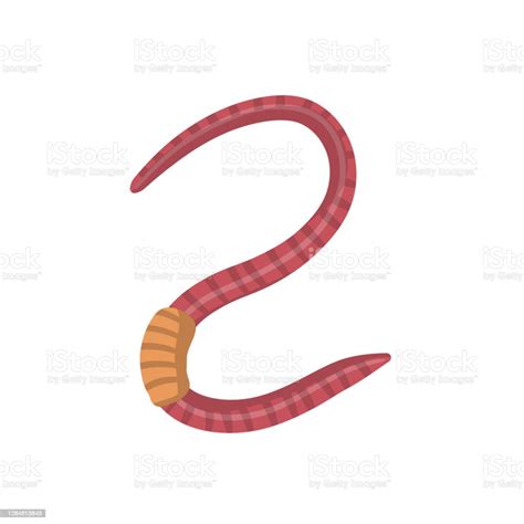 Halaman Unduh Untuk File Gambar Hewan Cacing Kartun Yang Ke 6