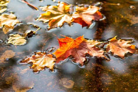 Tempo Estivo Fino Al Weekend Poi Arriva Lautunno Con 10 Gradi In Meno