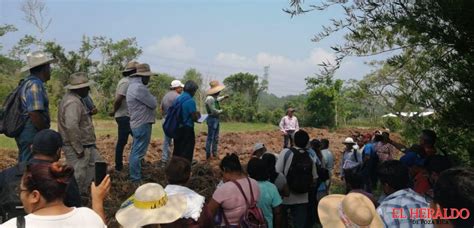 El Heraldo De Poza Rica Organizan Foro