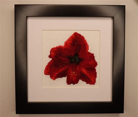 Amaryllis Flower Cross Stitch Pattern Etsy