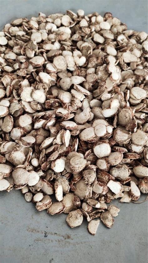 Kapoor Kachri Zedoary Roots At Rs 140 Kg Zedoary Root ID 24193095148