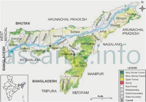 Assam State Forest and Tree Cover Data