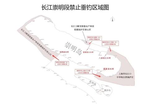 又有人被抓！崇明哪里是禁渔区？哪些地方不能垂钓？腾讯新闻