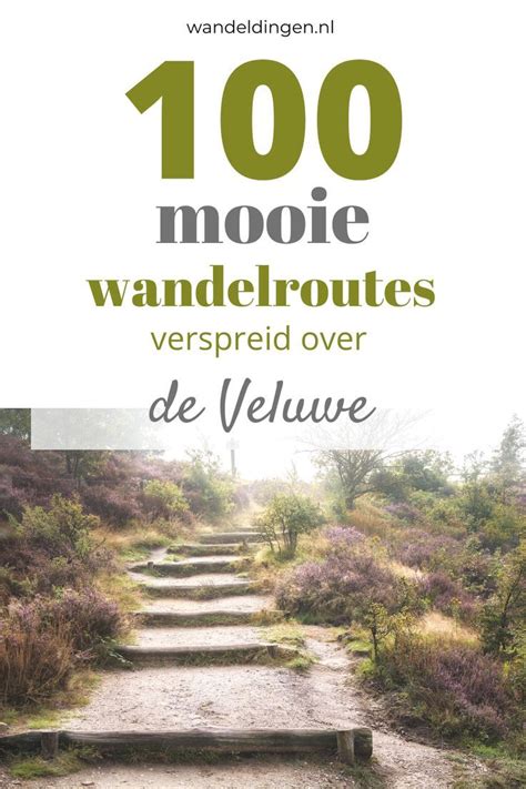 Wandelroutes Op De Veluwe Artofit