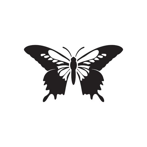 Premium Vector | Butterfly graphic design