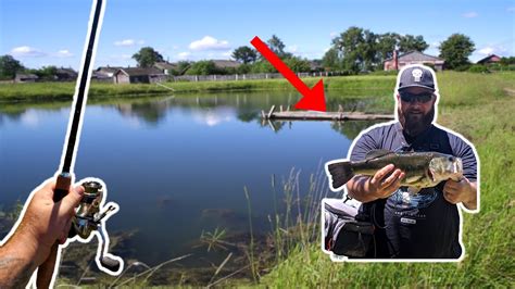 Bass Fishing Ponds In Summer Youtube