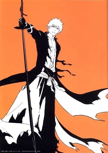 駿河屋 A3クリアポスター 黒崎一護 「一番くじ Bleach ブリーチ 千年血戦篇 Op1」 D賞（アニメ）