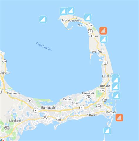 11 Great White Shark Sightings Reported Off Cape Cod Ahead Of Fourth Of