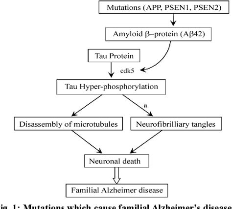 Figure 1 From Pathogenesis Of Alzheimer ’ S Disease Role Of Amyloid β And Hyperphosphorylated