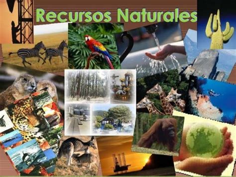 Recursos Naturales De Mexico