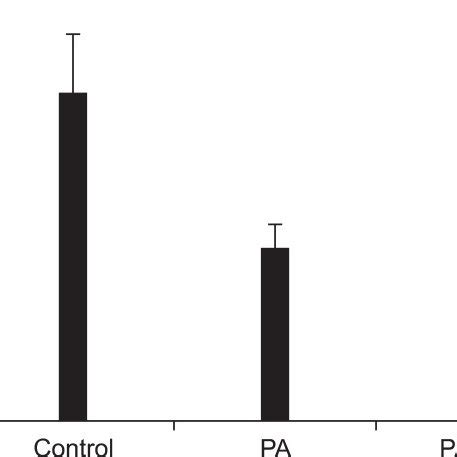 The Mitochondrial DNA Copy Number Is Decreased By Palmitic Acid PA