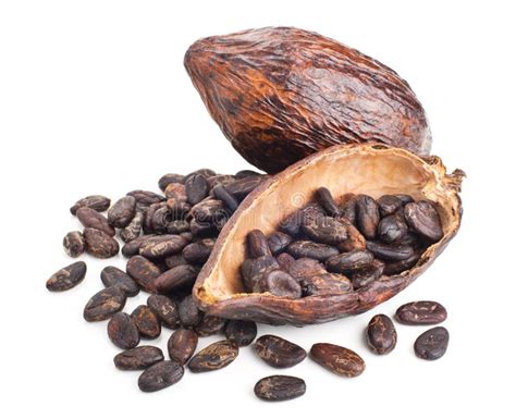 Cosse Et Haricots Crus De Cacao Sur Un Blanc Photo Stock Image Du