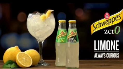 La canzone della pubblicità Schweppes 2024 video spot Radiomusik