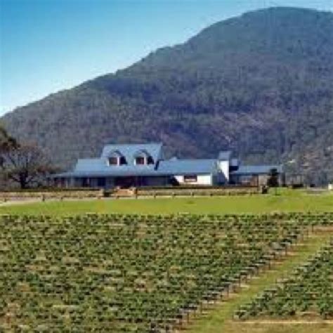 Audrey Wilkinson Winery In Hunter Valley