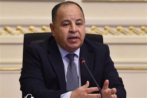 egypt finance minister urges insurers   part  green economy