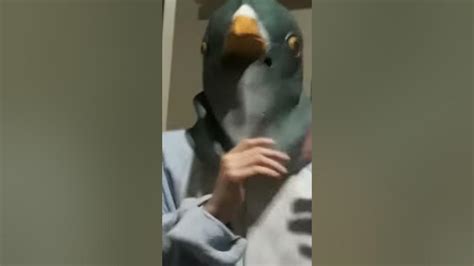 Dino Pigeon Prolly Dank Meme ͡° ͜ʖ ͡° Youtube