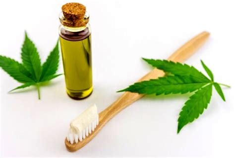 Top 20 Cbd Oil Benefits And Uses That Will Surprise You