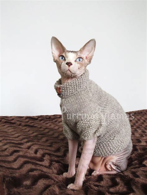 Sphynx Clothes Sphynx Sweater Cat Clothes Cat Sweater Etsy Vetement Pour Chat Tenue Chat