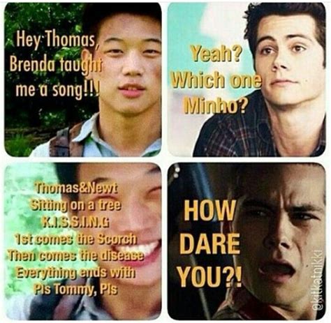 Im Trying Not To Laugh But Its So Funny Maze Runner Funny Maze