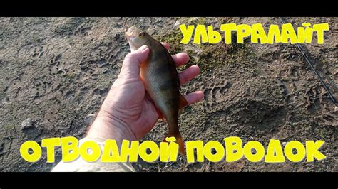 Ультралайт и отводной поводок - YouTube