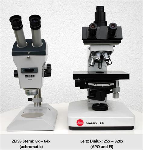 Microscopes Zeiss Stemi And Leitz Dialux Microscopy Photo Gallery