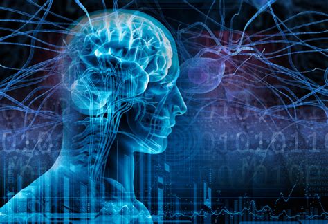 Types of Seizures – Care Epilepsy USA