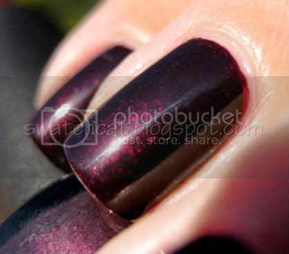 swatchcat: OPI Black Cherry Chutney