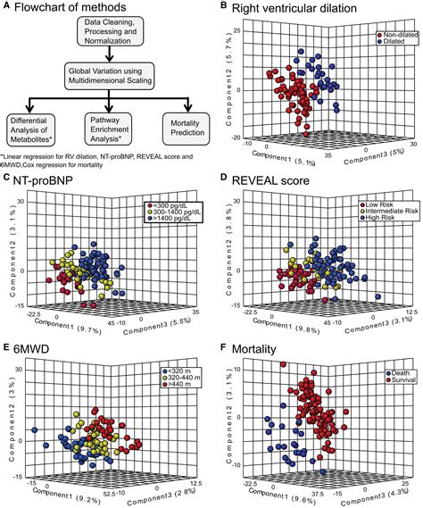 Metabolomic Signatures Associated With Pulmonary Arterial Hypertension