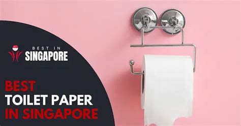 6 Best Toilet Paper In Singapore [2025] Bestinsingapore