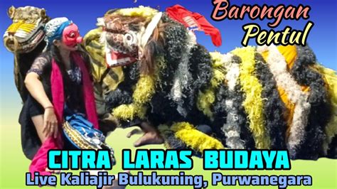 Pentul Dan Barongan Citra Laras Budaya Ebeg Banyumasan Live In