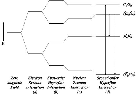 4 Spin energy levels and allowed EPR transitions for a system S ½ and