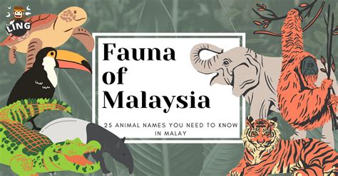 25 Captivating Names Of Animal In Malay By Ling Learn Languages Medium