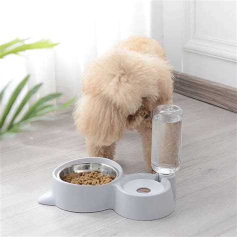 Gamelle Pour Chien Pink Distributeur Eau Automatique En Pour Chat