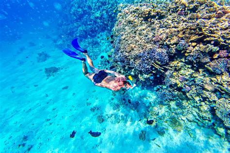 find   snorkeling  lahaina west maui  guide