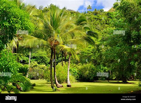 Komokila Historic Village On Wailua River Valley Kauai Hawaii Usa