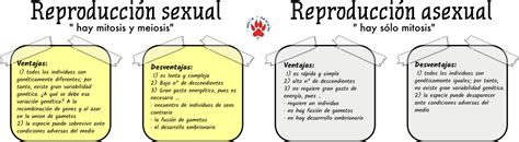 Tema 07 11 Ventajas y desventajas de la reproducción sexual