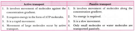 What is active transport? Differentiate between active and passive ...