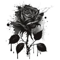 Black Rose Background