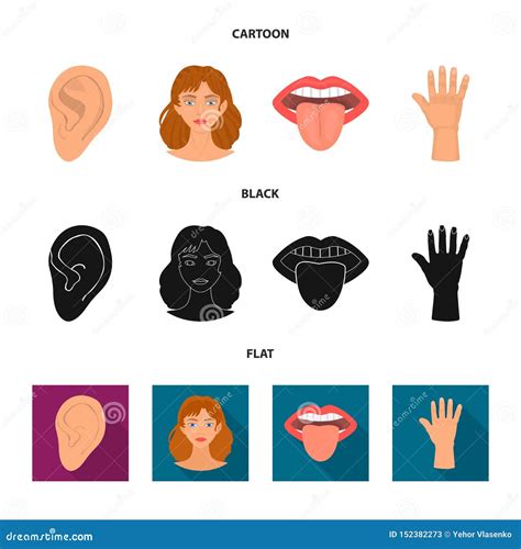 Vector Design Of Body And Part Sign Set Of Body And Anatomy Vector