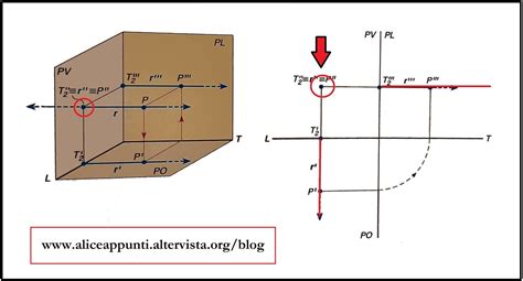 Proiezioni Della Retta Perpendicolare Spiegazione Completa