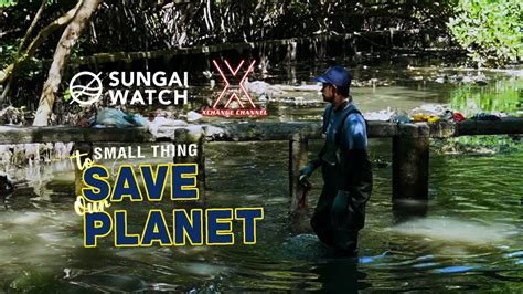 Perjuangan Seorang Volunteer Bersama Sungai Watch Mangrove Bali