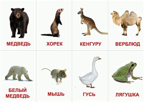 Распечатать карточки