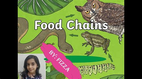 Food Chain For Kids Youtube