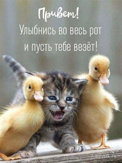 привет - wallpapercokeys