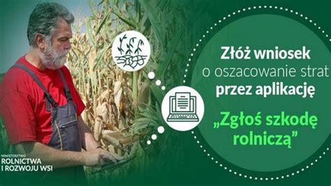 Zgłaszanie szkód spowodowanych zjawiskiem suszy w 2023 roku Gmina