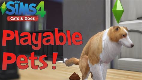 Sims 4 mods pets - rtschicago