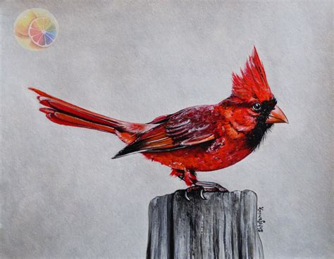 Painting Art Collectibles Illustration Of A Red Cardinal Quebec Bird