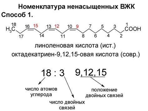 Липиды. Общая характеристика липидов - презентация онлайн
